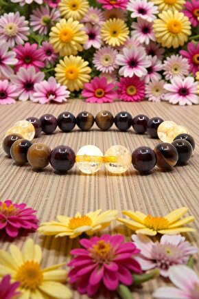 Aslan Burcu Burç Bilekliği