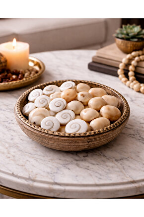 Yılancık Taşı – 10 Parça Doğal Taş Seti