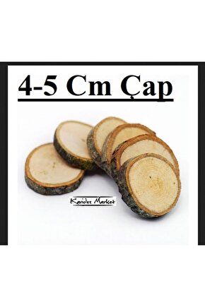 5 Adet 4 - 5 Cm Çap Moss Bitki Uygulamaları için Doğal Dekoratif Ağaç Kütük Dilimi