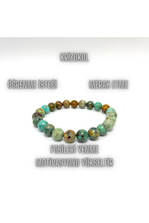 Jasper Dalmaçya 8mm Bileklik