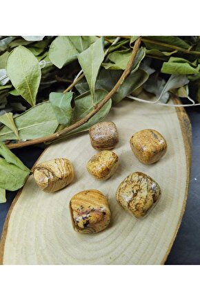 Odun Jasper Doğal Taş Tımbıl (sertifikalı)