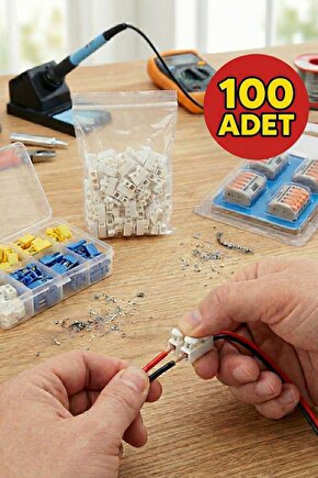 100 Adet Mandallı Vidasız Basmalı Tip 2 Li 2 Pin Kablo Birleştirici Klemens