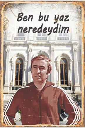Ben Bu Yaz Neredeydim Şener Şen Hababam Sınıfı Yeşilçam Retro Ahşap Poster