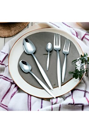 60 Parça 12 Kişilik Çatal Kaşık Takımı Sivri Model (kutulu)