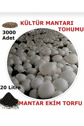20 Litre Kültür Mantarı Ekim Torfu ve 3000 Adet Kültür Mantarı Tohumu