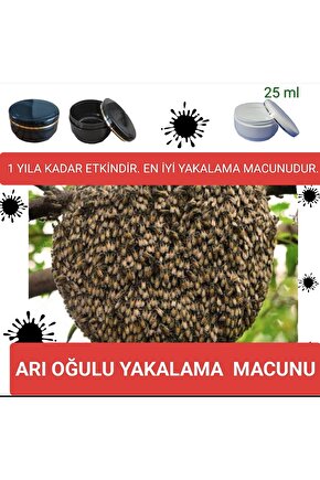 ARI OĞULU YAKALAMA MACUNU