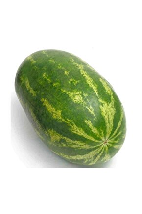 Meşhur Diyarbakır Karpuzu Tohumu 5 Adet Tohum Karpuz Tohumu