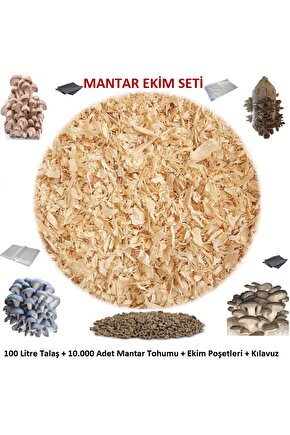 İstiridye Mantarı Ekim Seti