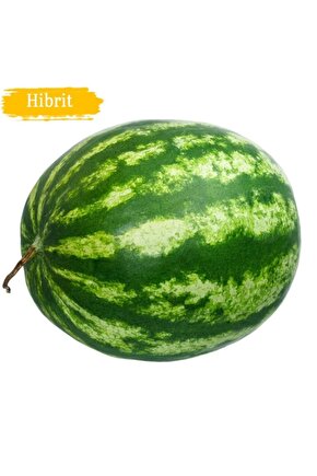 300 Adet Hibrit Karpuz Tohumu