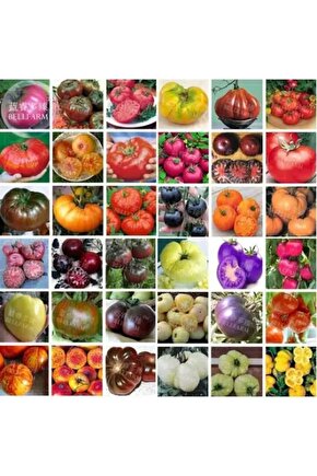 25 Adet Karışık Cinste Domates Tohumu