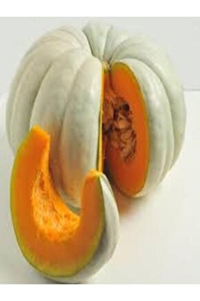 1 Adet Dev Kestane Bal Kabağı Tohumu