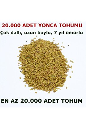 Yonca Tohumu 20.000 Adet