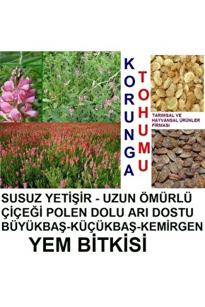 20.000 Adet Büyükbaş Hayvan Yemi Korunga Tohumu