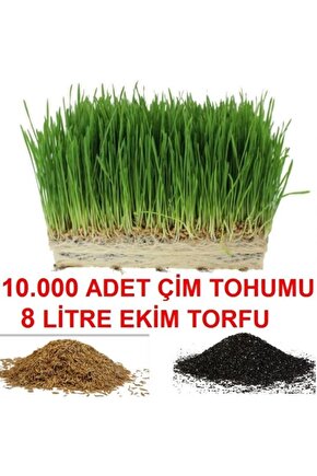 10.000 Adet Çim Tohumu Ve De 8 Litre Çim Ekim Torfu Toprak