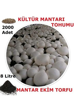 2000 Adet Kültür Mantarı Tohumu Ve 8 Litre Kültür Mantarı Ekim Torfu