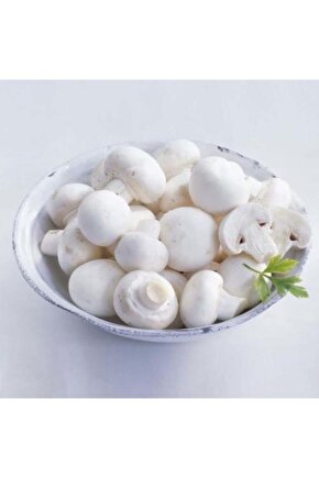 3000 Adet Kültür Mantarı Tohumu Ekim Poşeti Ve Eğitim Yönergesi + Hediye Üzüm Fidanı Tohumu