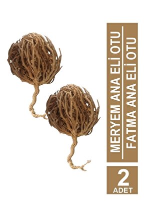 Kolay Doğum Için Meryem Ana Fatma Ana Eli Otu 2 Adet