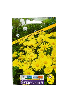 Sarı Papatya Tohumu