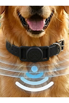 Boş Airtag Yuvalı Kedi Köpek Tasması Evcil Hayvan Pet Takip Cihazı Silikon Yaka Kılıfı Şık Tasarım