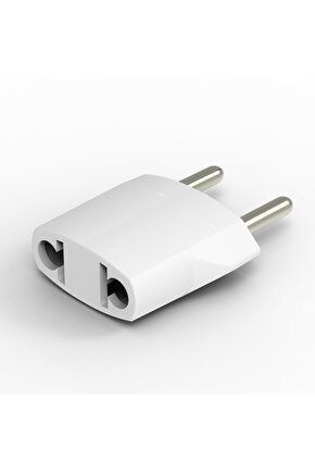 Amerikan fiş fetih f-19