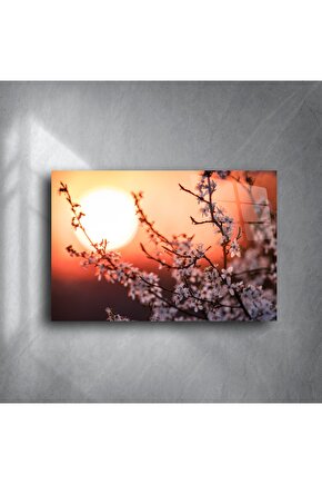 Romantik Gün Batımı Manzaralı Kiraz Çiçeği Kanvas Tablo