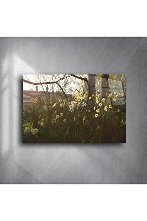 Fine Art Çiçek Fotoğrafı Tablosu