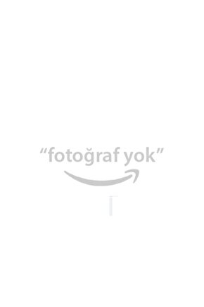 Plastik Boyası Süngerli Siyah 75 ml