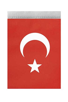 Orta Ipli Türk Bayrağı 50li