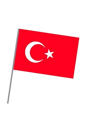 Sopalı Bez Türk Bayrağı 20X30 Cm 10 Lu Vt225