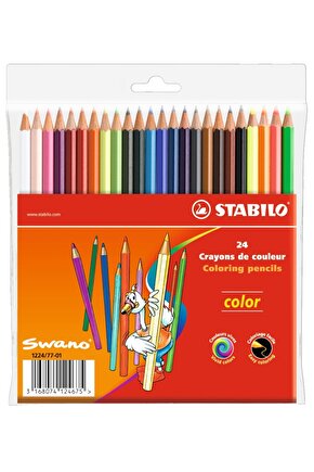 Color Standart Kuru Boya 24 Renk Askılı Paket