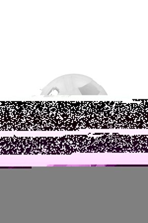 Peugeot 405-406 Için Cam Motor Iç Dişlisi