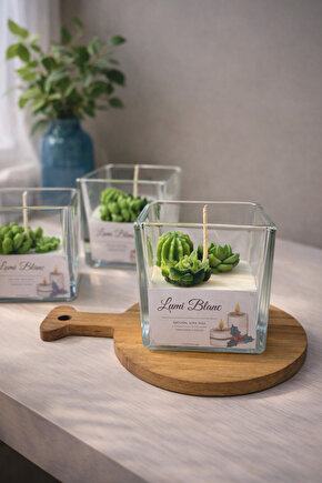 Echeveria Kokulu Soya Mum – Vanilya – El Yapımı Dekoratif SukulentKaktüs Mum