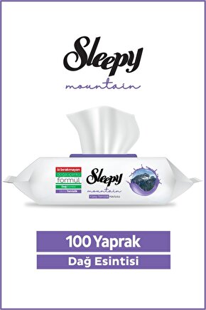 Mountain Yüzey Temizlik Havlusu&Mendili Dağ Esintisi 100 Yaprak