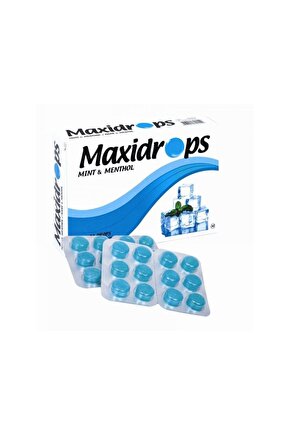 Pastil Nane Mentol 24lü