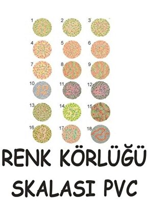 Renk Körlüğü Skalası