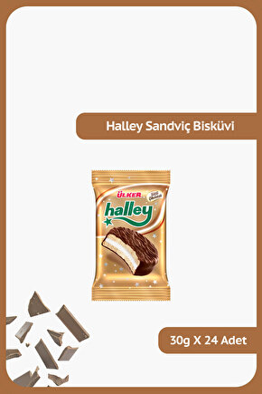 HALLEY - Çikolata Kaplamalı Tekli Bisküvi - 30 gram - 24 Adet
