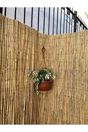 Bambu Çit Kamış Çit Hasır Çit 2,5x5 Metre Eni 2,5 Metre Uzunluk 5 Metre Bahçe Çiti Rulo Çit
