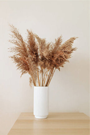 Kuru Çiçek Pampas 20 Adet 100 cm M-100