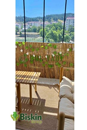 Hasır Çit , Kamış Çit Bambu 1m X 5m