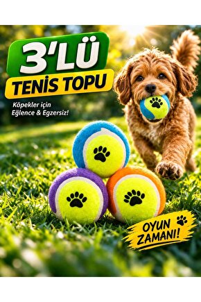 3’lü Tenis Topu Köpek Oyuncağı Dayanıklı Isırmaya Uygun Zıplayan Top Köpek Topu Eğlence Oyuncağı