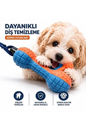 Köpek Diş Temizleme Oyuncağı Dayanıklı Çiğneme Oyuncağı Stres Azaltıcı Köpek Oyuncak