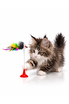 Kedi Oyuncağı Vantuzlu Zıplayan Tüylü Fare Oyuncak – British Kedi Oyun Çubuğu Eğlenceli Dayanıklı