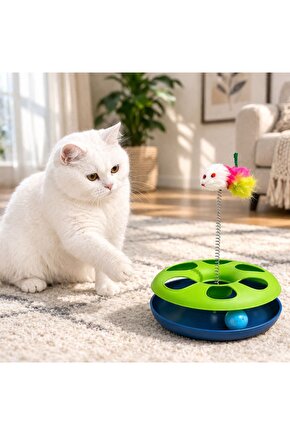 Fareli kedi çember oyuncağı eğlenceli kedi oyun çemberi