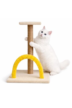 Kedi tırmalamalı kaşıma set karışık renkli