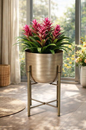 45 CM METAL GOLD ESKİTME SAKSILIK ÇAP 25 CM