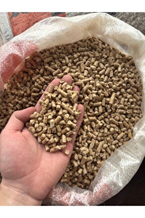 A1 Kalite Kedi Kumu Çam Kokulu Peleti 5KG