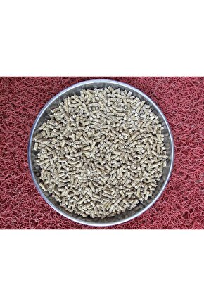 GEZEN TAVUK YUMURTA YEMİ 5 KG PELET YEM