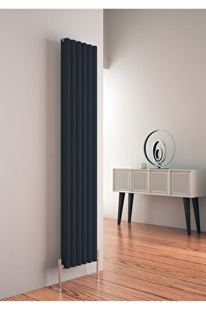 Tallis Yatay Alüminyum Radyatör Modern Tasarım Antrasit 60 x 119 cm