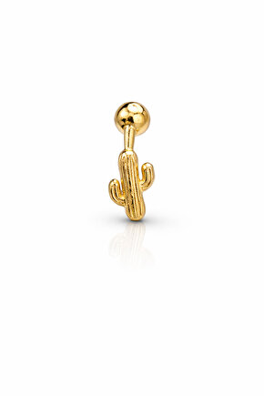 Gümüş Kaktüs Piercing