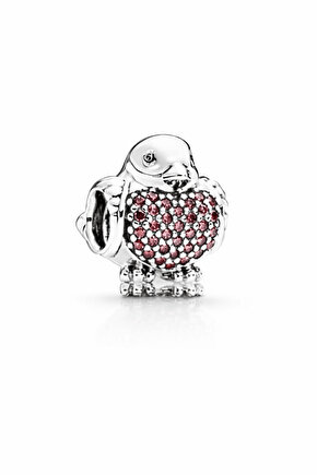 Robin Kuş Charm